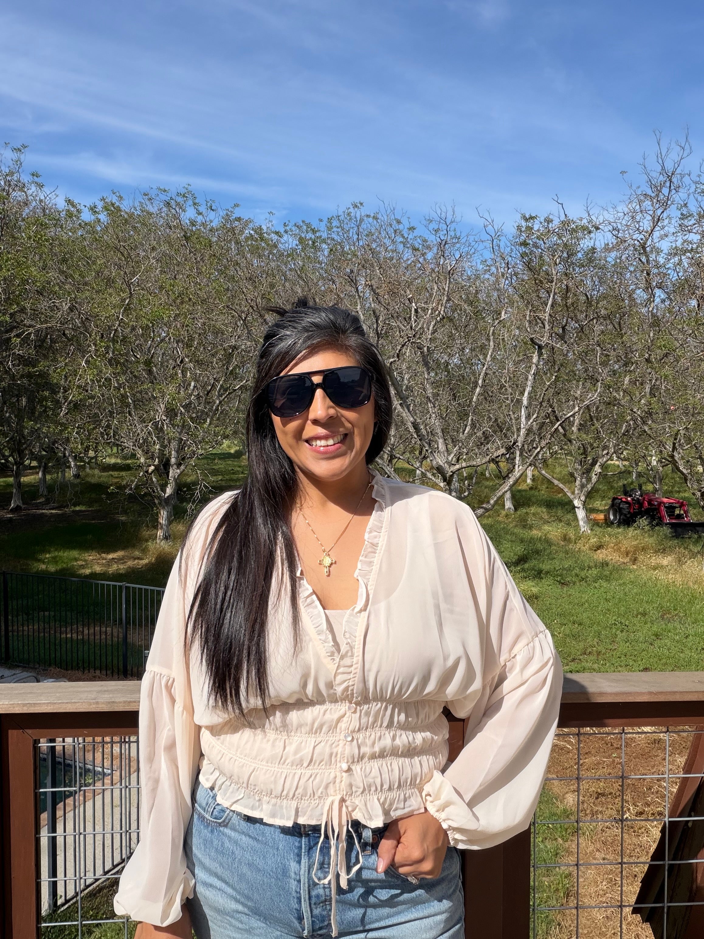 Sheer Blouse