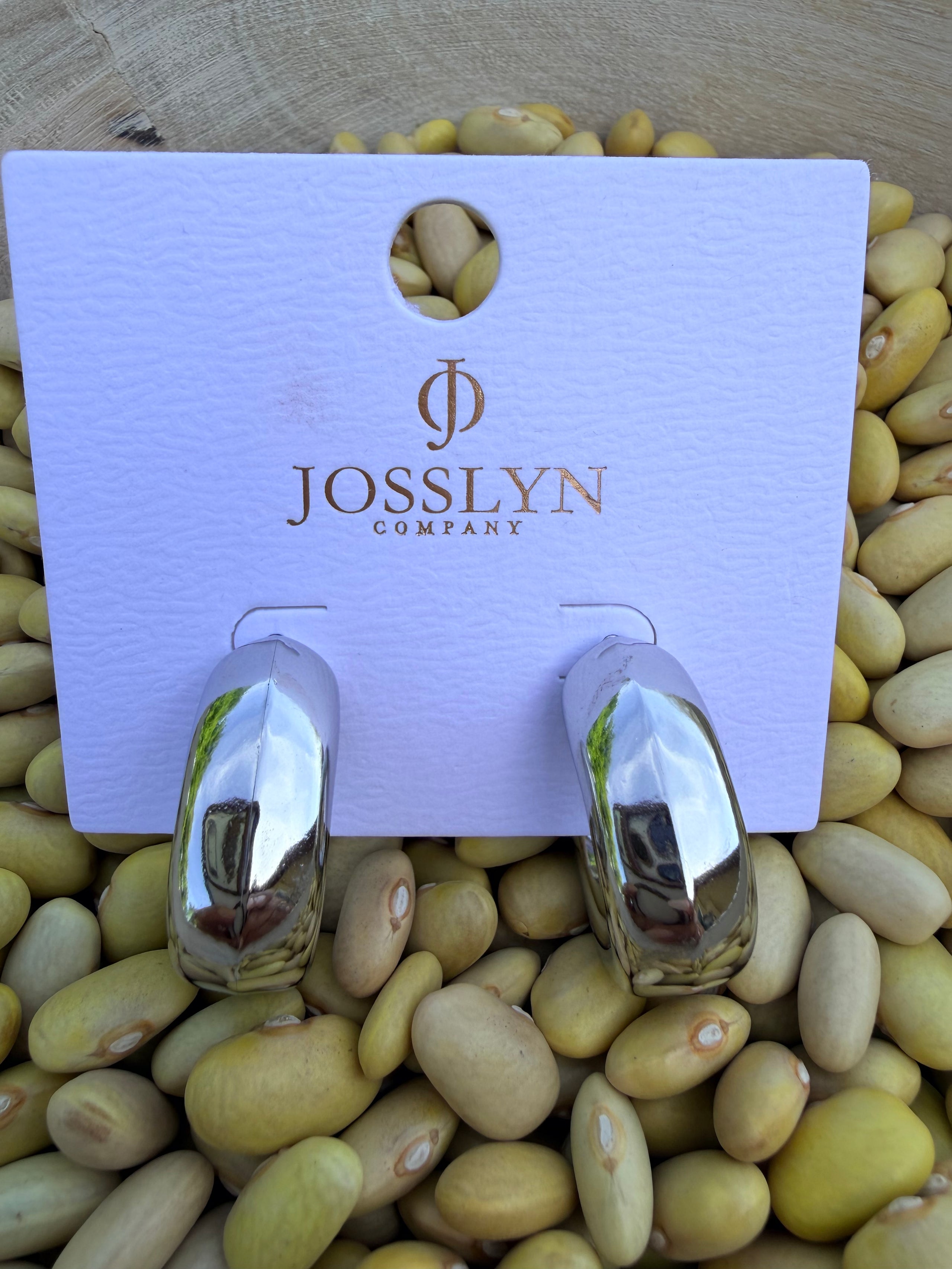 Earrings *Fashion*