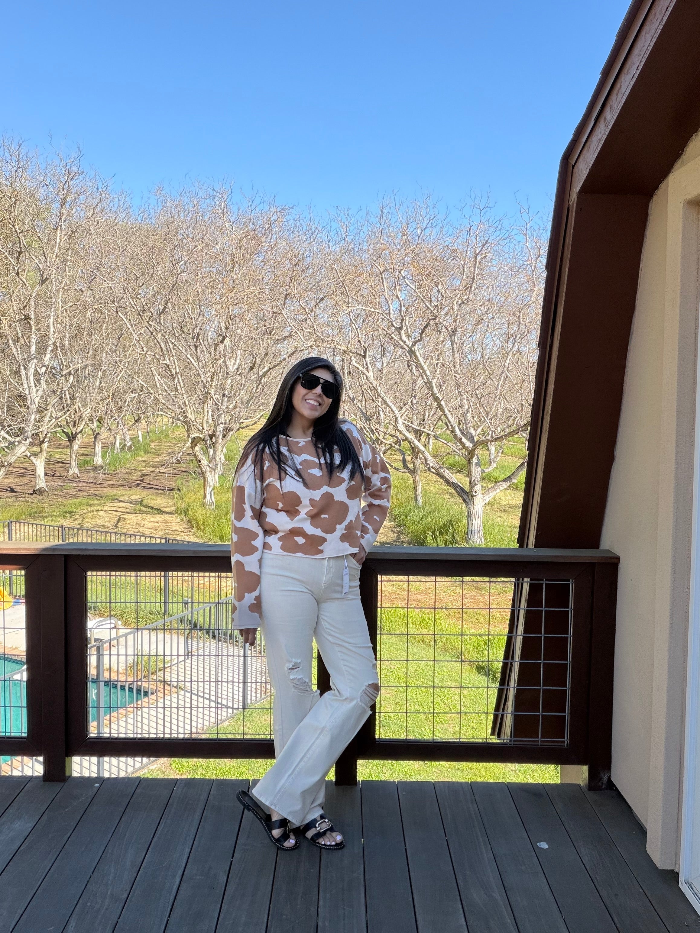 Judy Blue Cream Jeans